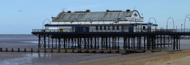 when can dogs go on the beach in cleethorpes