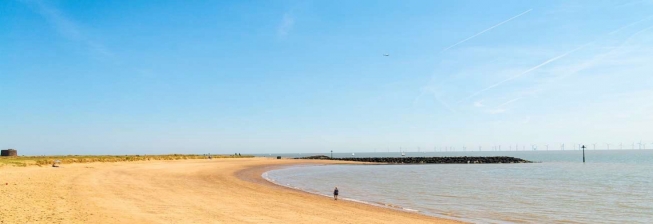 does clacton beach allow dogs