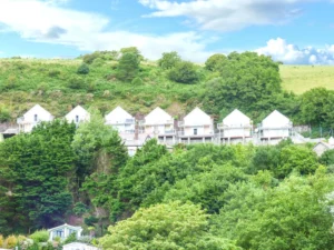 Carmarthenshire pet friendly apartment