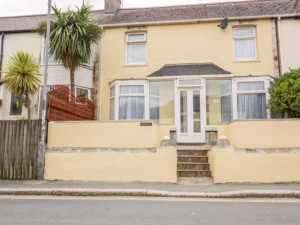 Newquay pet friendly hot tub cottage sleeps 11