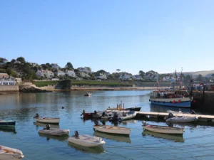 St Mawes beachside cottage pets welcome