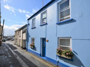 Holiday cottage in Appledore sleeps 3