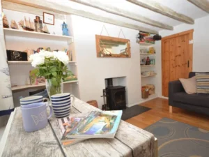 Appledore pet friendly cottage sleeps 3