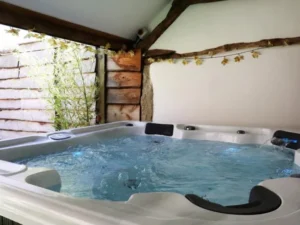 Devon pet friendly lodge with hot tub