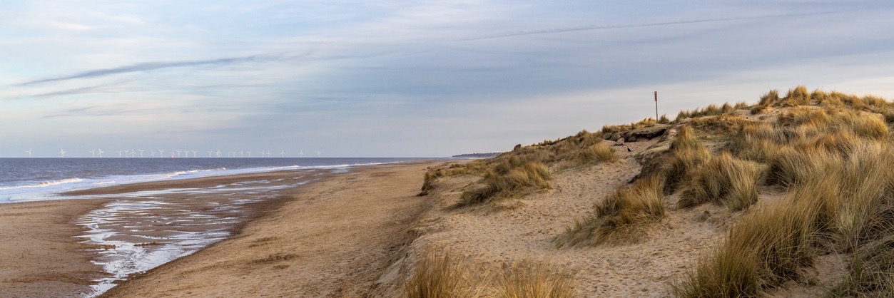 Norfolk Dog Friendly Cottages to rent