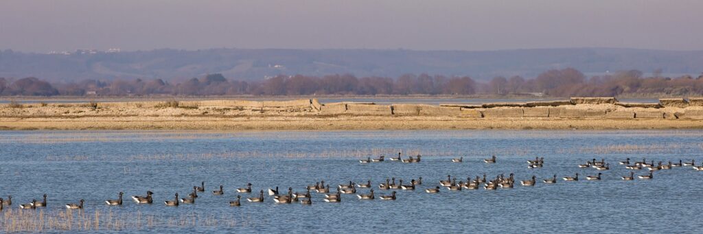 Pagham Seaside Accommodation