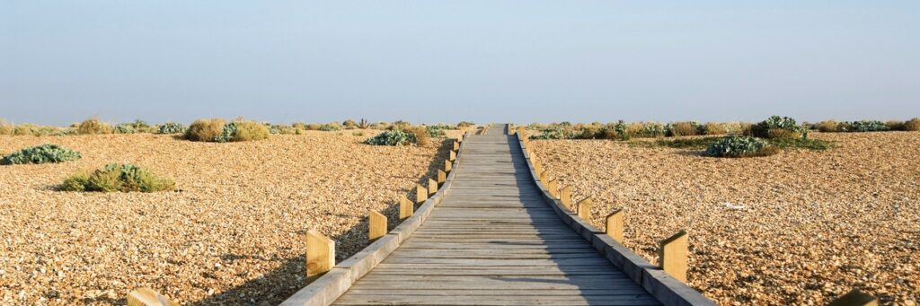 Romney Marsh Pet Friendly Holidays