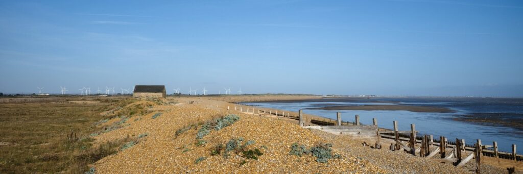 Rye Cottages by the Sea