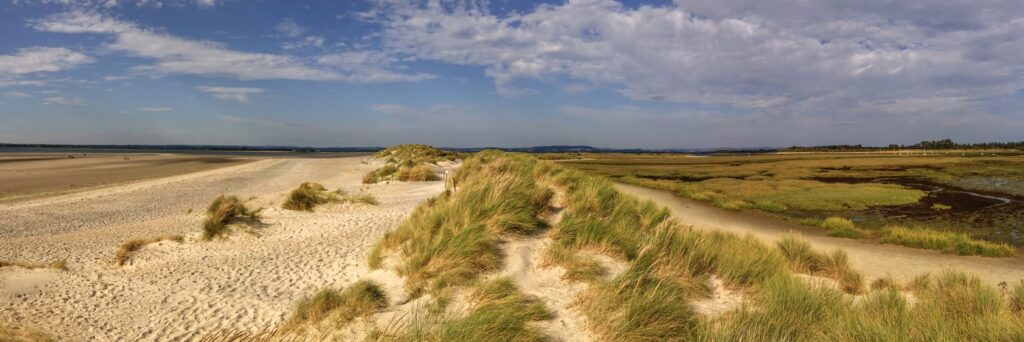 West Wittering Beach Houses by the Sea